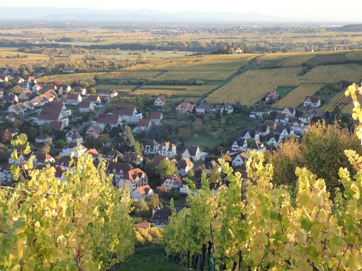 Villa/Appartement Au Coeur Des Vignes *** Barr Eksteriør bilde