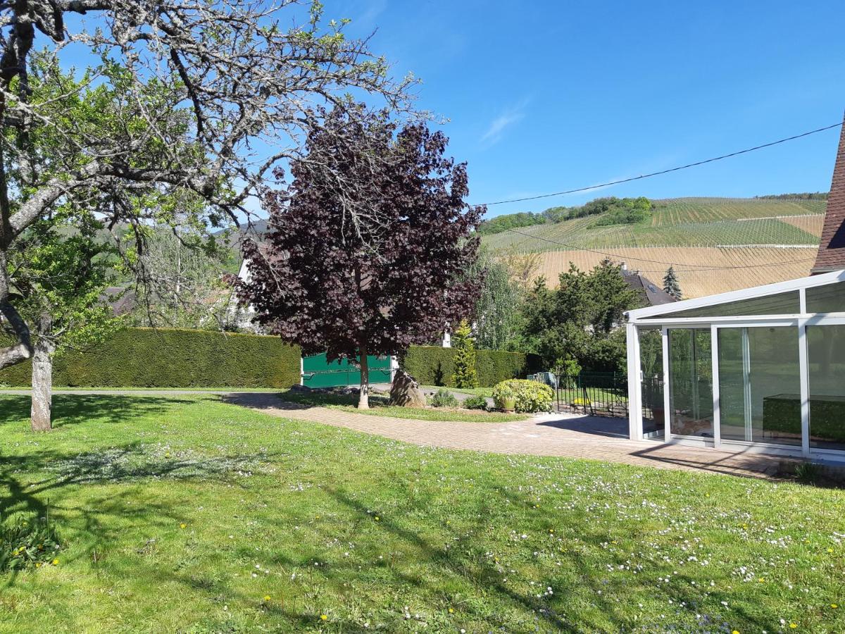 Villa/Appartement Au Coeur Des Vignes *** Barr Eksteriør bilde