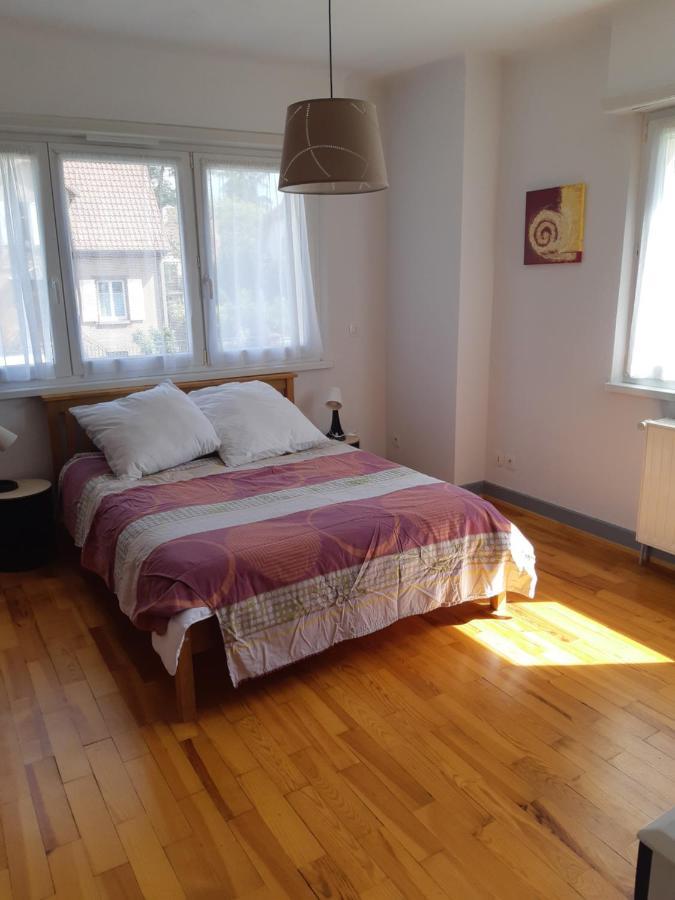 Villa/Appartement Au Coeur Des Vignes *** Barr Eksteriør bilde